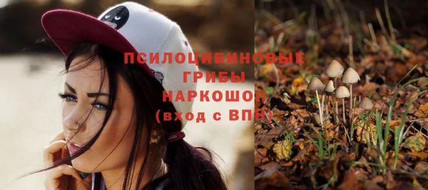 спайс Нея