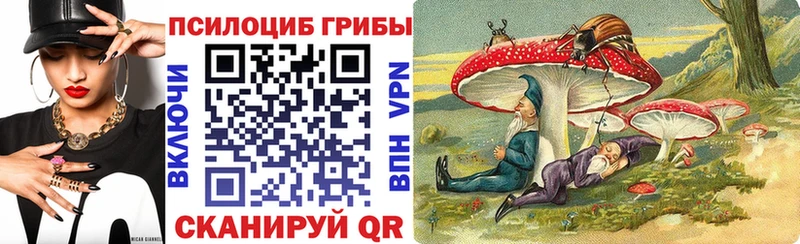 Псилоцибиновые грибы Cubensis  Лакинск 