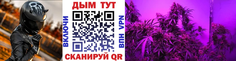 Бошки марихуана THC 21%  Лакинск 